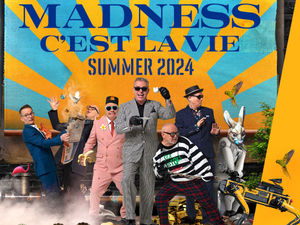 Supporting image for story: Madness confirmed as latest Ludlow Castle performers