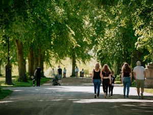 Supporting image for story: Expert wants Shrewsbury to be a tree haven
