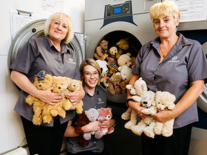 Supporting image for story: Hundreds of teddy bears going through the wash cycle for Ukraine