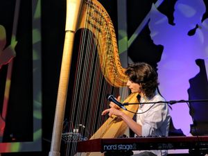 Supporting image for story: Internationally renowned harpist to perform at Llanwrtyd Wells Heritage Centre