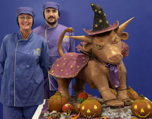 Supporting image for story