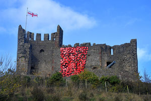The poppy cascade is large and colourful on the side of Dudley Castle
