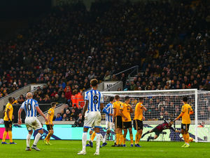 Supporting image for story: Wolves Fans' Verdict v Huddersfield: Oh dear!