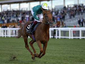 Supporting image for story: Shropshire ace Rob Hornby on the fast track to success 