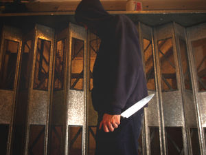 Supporting image for story: Children warned over dangers of knife crime in the West Midlands