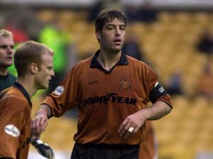 Supporting image for story: Paul Butler: Survival still the aim for Wolves