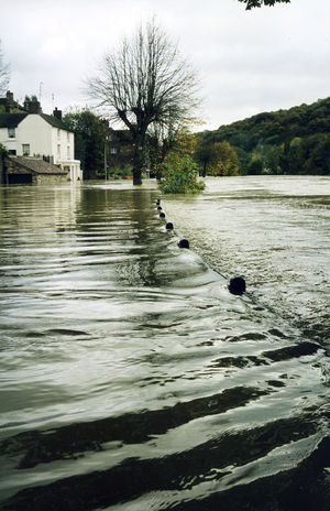 The flooding of November 2000 was up to the top of the railings on The Wharfage. Picture: Richard Starr.