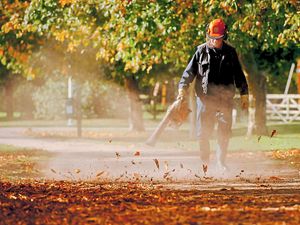 Supporting image for story: Star Witness - send us your stunning Autumn shots