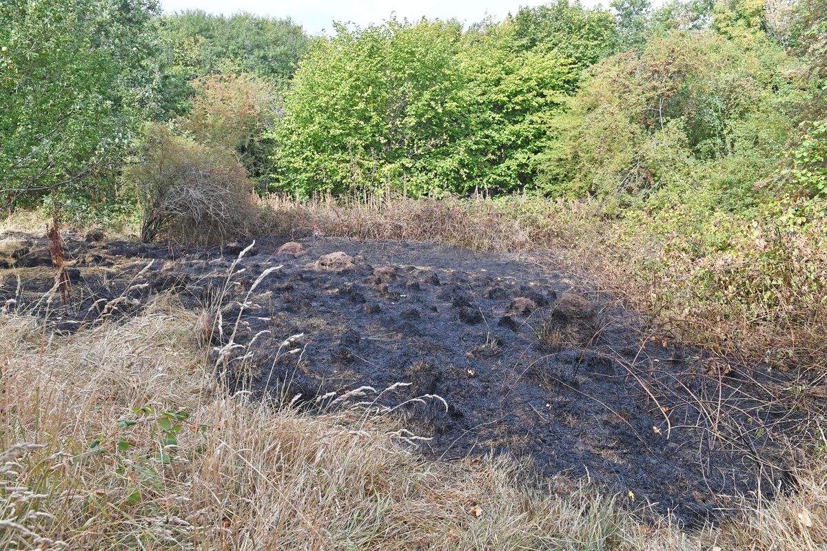Be wildfire aware Brigade offers advice after Dudley blaze which threatened fences