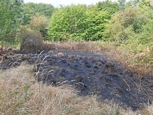Supporting image for story: 'Be wildfire aware' Brigade offers advice after Dudley blaze which threatened fences