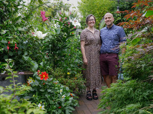 Supporting image for story: In pictures: The Shropshire couple behind one of the UK's most popular gardens