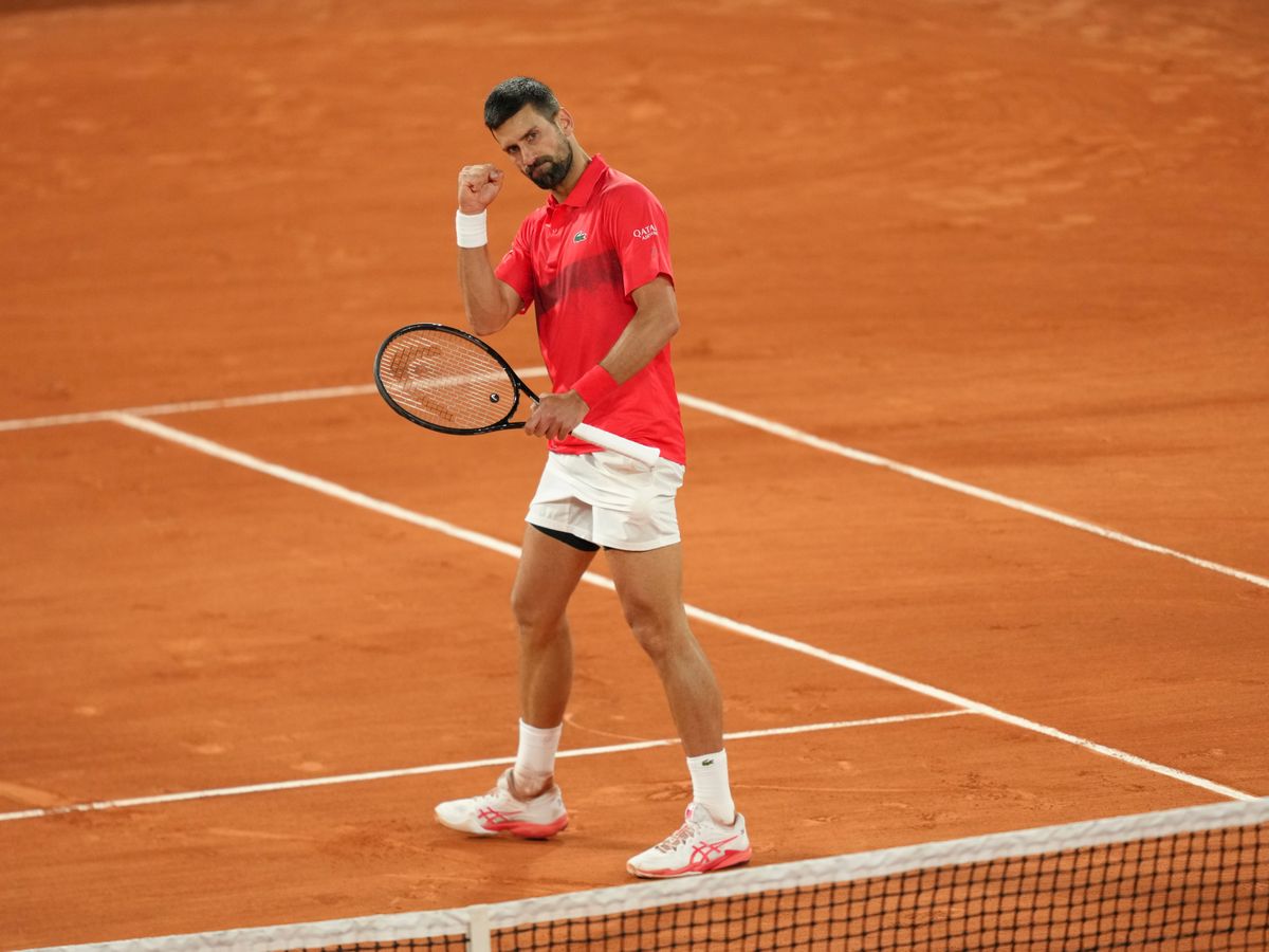 Alexander Zverev swallows a fly before Novak Djokovic swats him aside in Paris   Express & Star