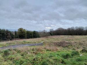 Supporting image for story: Public meeting on transforming disused site into haven for people and wildlife