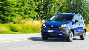 Supporting image for story