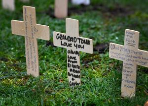 The Remembrance Sunday event at Wednesbury Memorial Gardens. Photo: Tim Thursfield