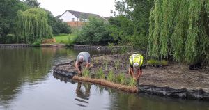 Some of the work at Dothill Nature Reserve