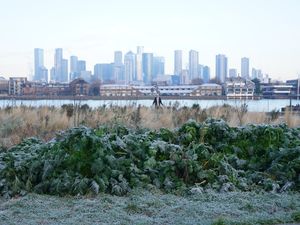 Supporting image for story: City financial services jobs plummet – report