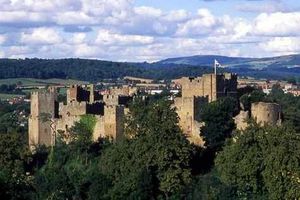Supporting image for story: Ludlow 'cluttered up with ice cream vans'