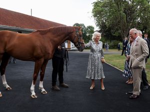 Supporting image for story: King and Queen feed polo mints to champion racehorse on visit to Newmarket