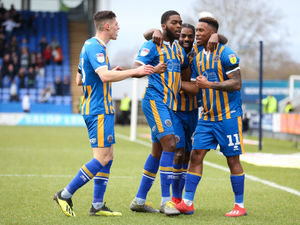 Supporting image for story: Shrewsbury 1 Burton 1 - Report and pictures