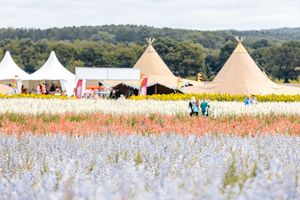 Tickets for Shropshire Petal Fields are now on sale.
