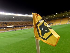 Supporting image for story: Wolves have announced pre-season friendlies against Ajax and Villarreal 