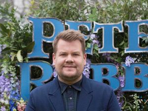 Supporting image for story