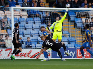 Supporting image for story: Marko Marosi played through pain barrier in Shrewsbury win
