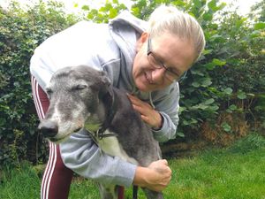 Supporting image for story: Powys dog lover taking on walking challenge for greyhound rescue