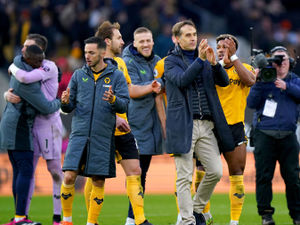 Supporting image for story: Wolves Fans' Verdict v Spurs: A game of two halves