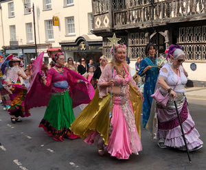 Ludlow carnival