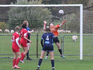 Supporting image for story: Polecats put up a fight but it's Pegasus who march through