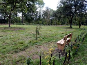 Supporting image for story: Natural burial ground planners refuse to give up after appeal turned down