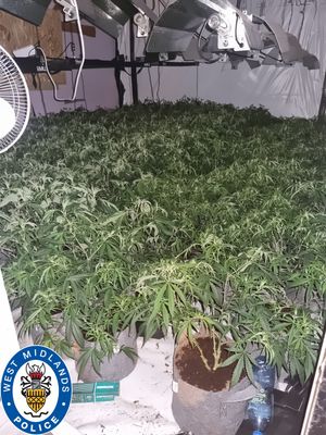 Officers discovered 1,000 plants spread over three floors of the property