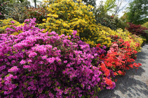 Marche Manor, Halfway House, Shrewsbury