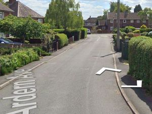 Supporting image for story: Telford burglar took Rolex and crashed stolen Land Rover 