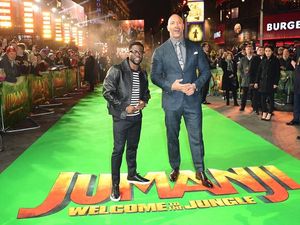 Supporting image for story