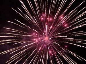 Supporting image for story: Peter Rhodes on blacked-out pages, climate-change bunkum and a bangless Bonfire Night