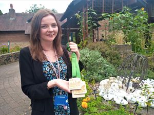 Supporting image for story: Sunset trail run will raise money for hospice