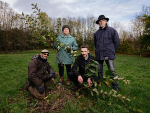 Supporting image for story: Telford community orchard trashed by 'mindless' vandals