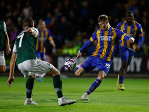 Supporting image for story: Plymouth 2 Shrewsbury 1 - Report 