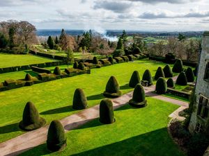 Supporting image for story: Castle and grounds in Chirk closed because of wind gust risk to old trees