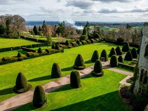 Supporting image for story: Castle and grounds in Chirk closed because of wind gust risk to old trees