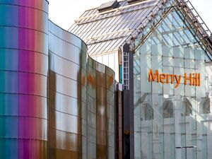 Supporting image for story: Police officer kicked as brawl involving 15 children breaks out at Merry Hill