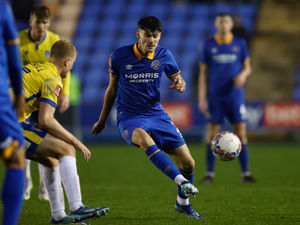 Supporting image for story: Exclusive: Elliot Thorpe set for Luton return after injury ravaged Shrewsbury loan spell