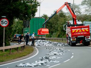 Supporting image for story: Telford road blocked after lorry sheds metal load  