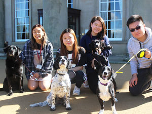Supporting image for story: Students hope Shropshire charity dog show will be paw-fect