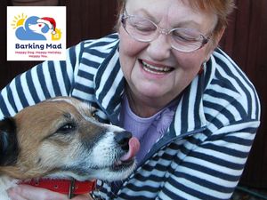 Supporting image for story: Addressing loneliness through volunteer dog hosting