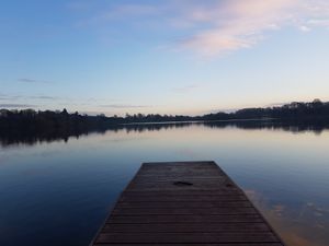 Supporting image for story: Life in Lockdown competition