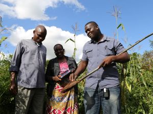 Supporting image for story: Study reveals ‘postcode lottery of nutrient intake’ from crops